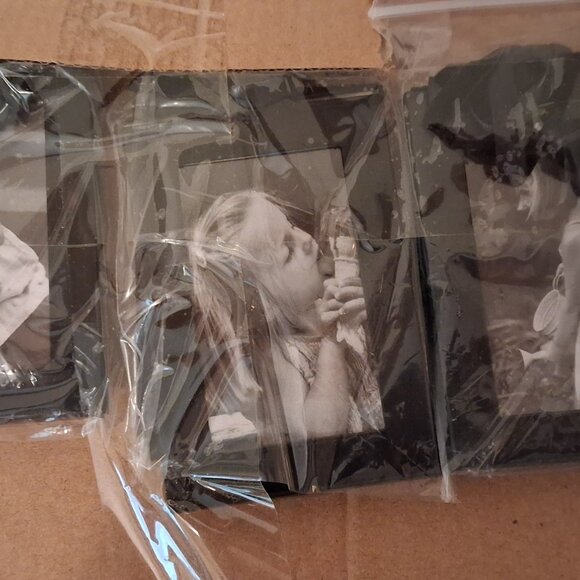 Family Tree Photo Ornament Display by Cole with 6 Photo Frames NEW - Picture 3 of 9